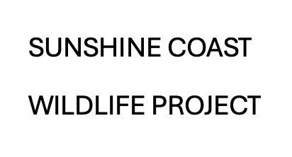 Sunshine coast wildlife